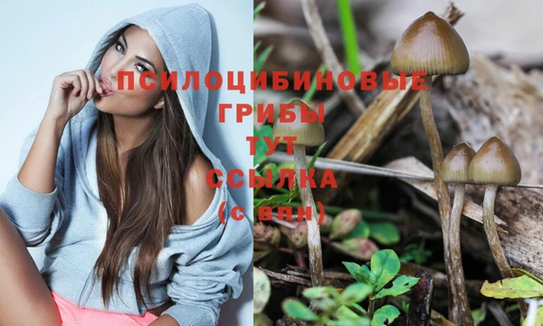 молекула духа Армянск